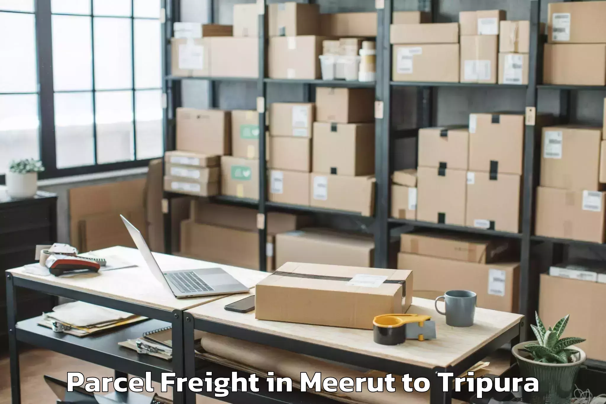 Professional Meerut to Teliamura Parcel Freight